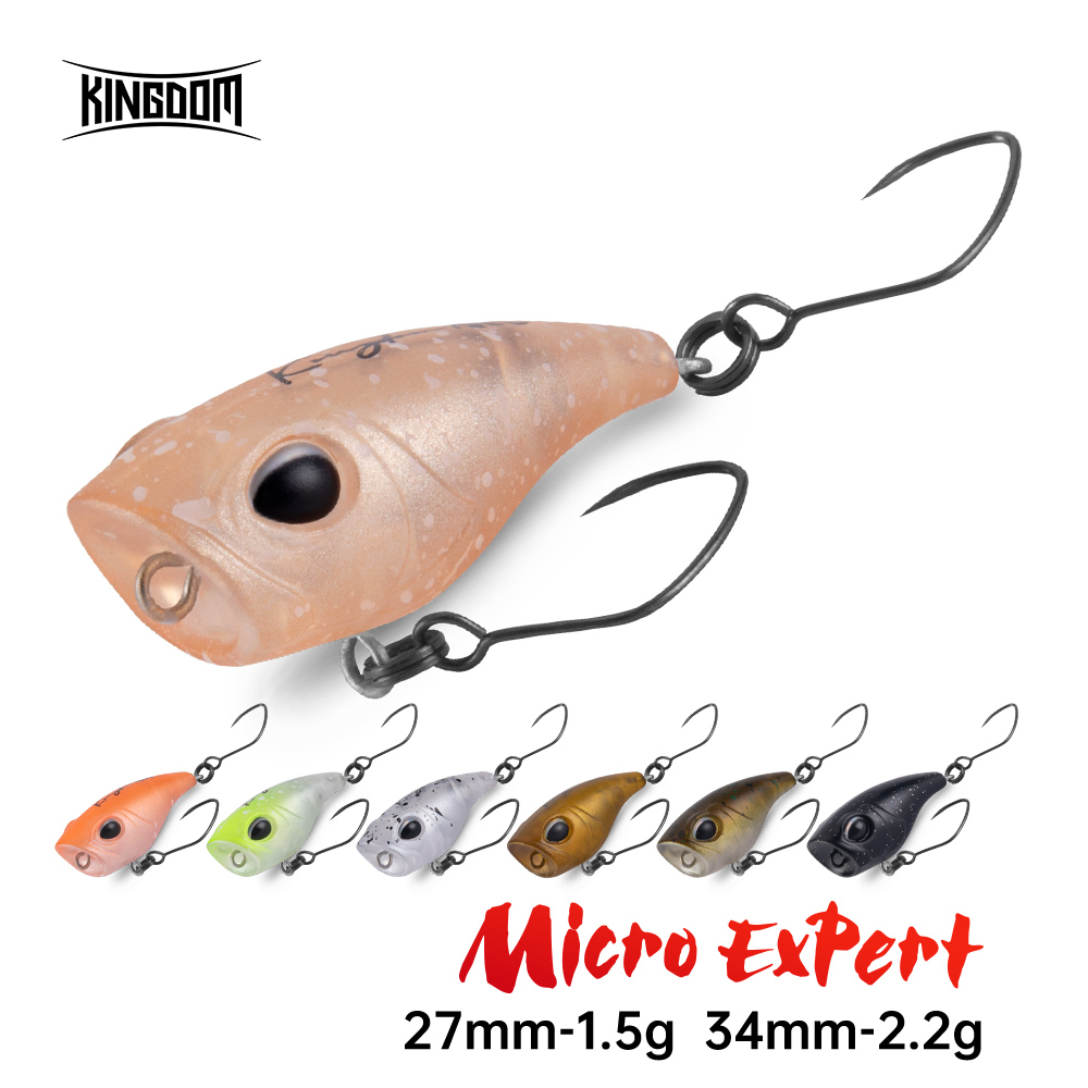 Kingdom Micro Expert Topwater  – Fishing Lure Popper Bewertung und Preis
