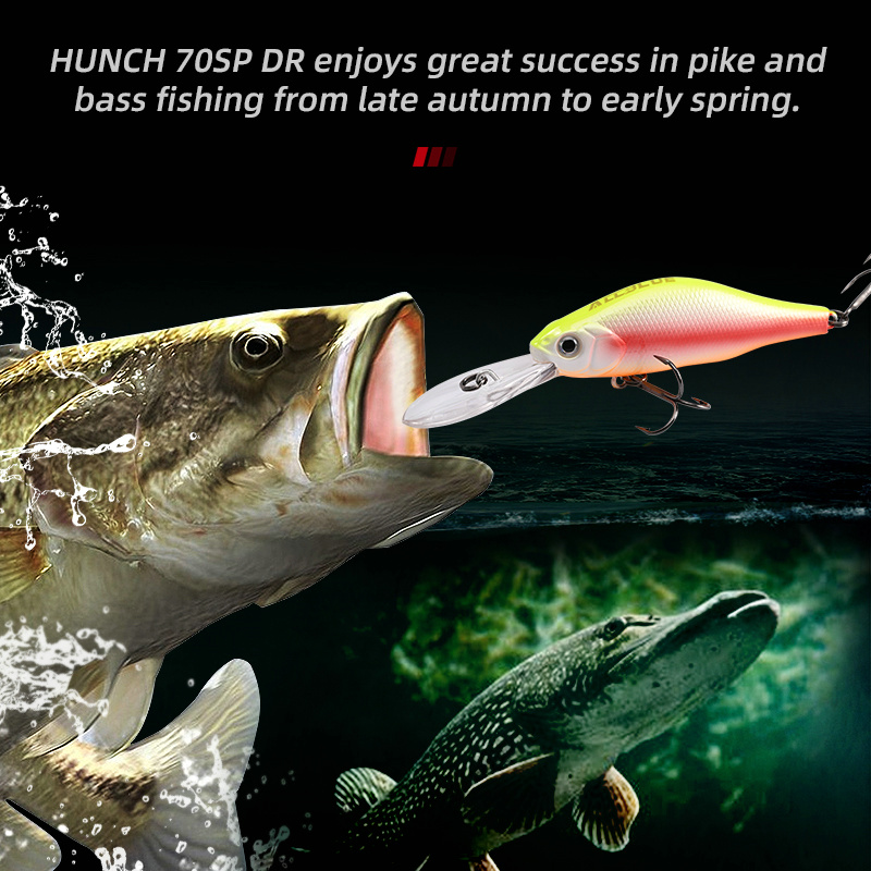 ALLBLUE HUNCH 70SP DR Professi – Fishing Lure Spoon Bewertung und Preis