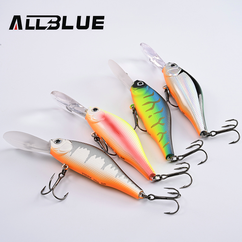 ALLBLUE HUNCH 70SP DR Professi – Fishing Lure Spoon Bewertung und Preis